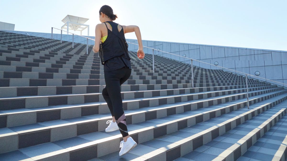 Stair Climbing Or Step Up Variations