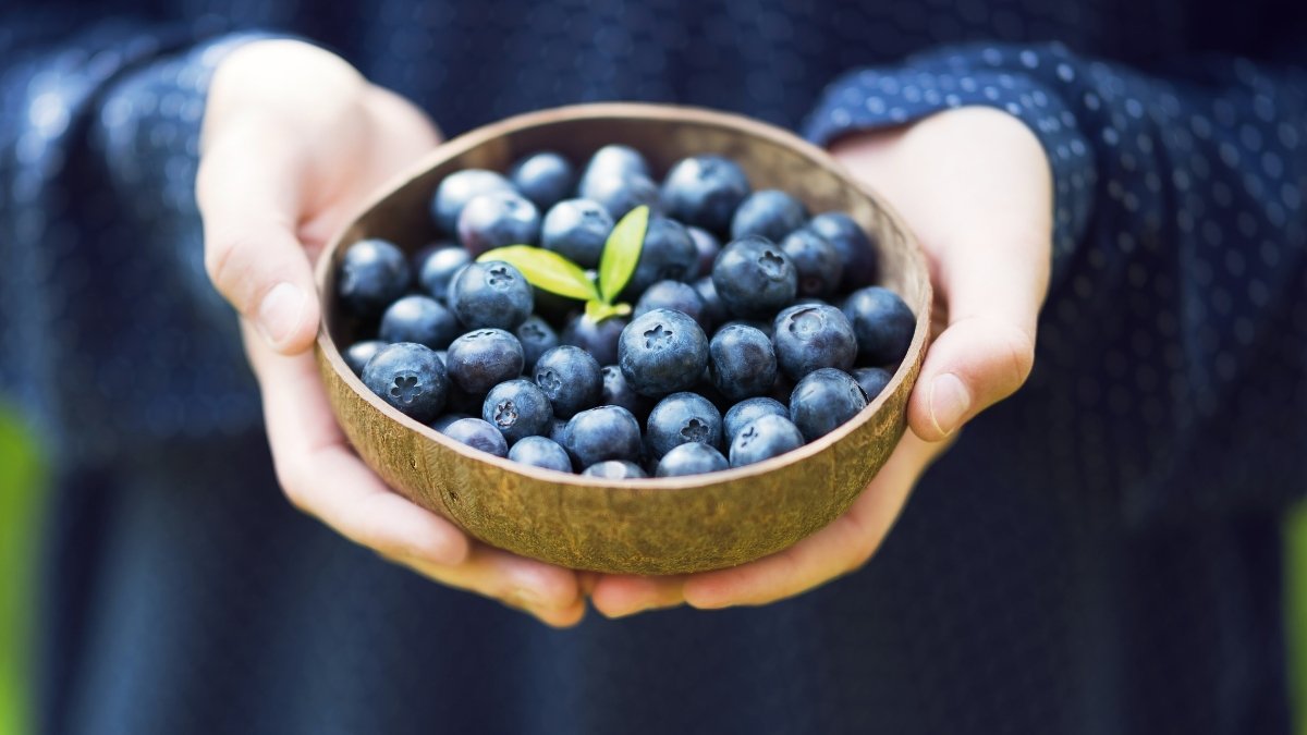 Blueberries (Antioxidant Champions)