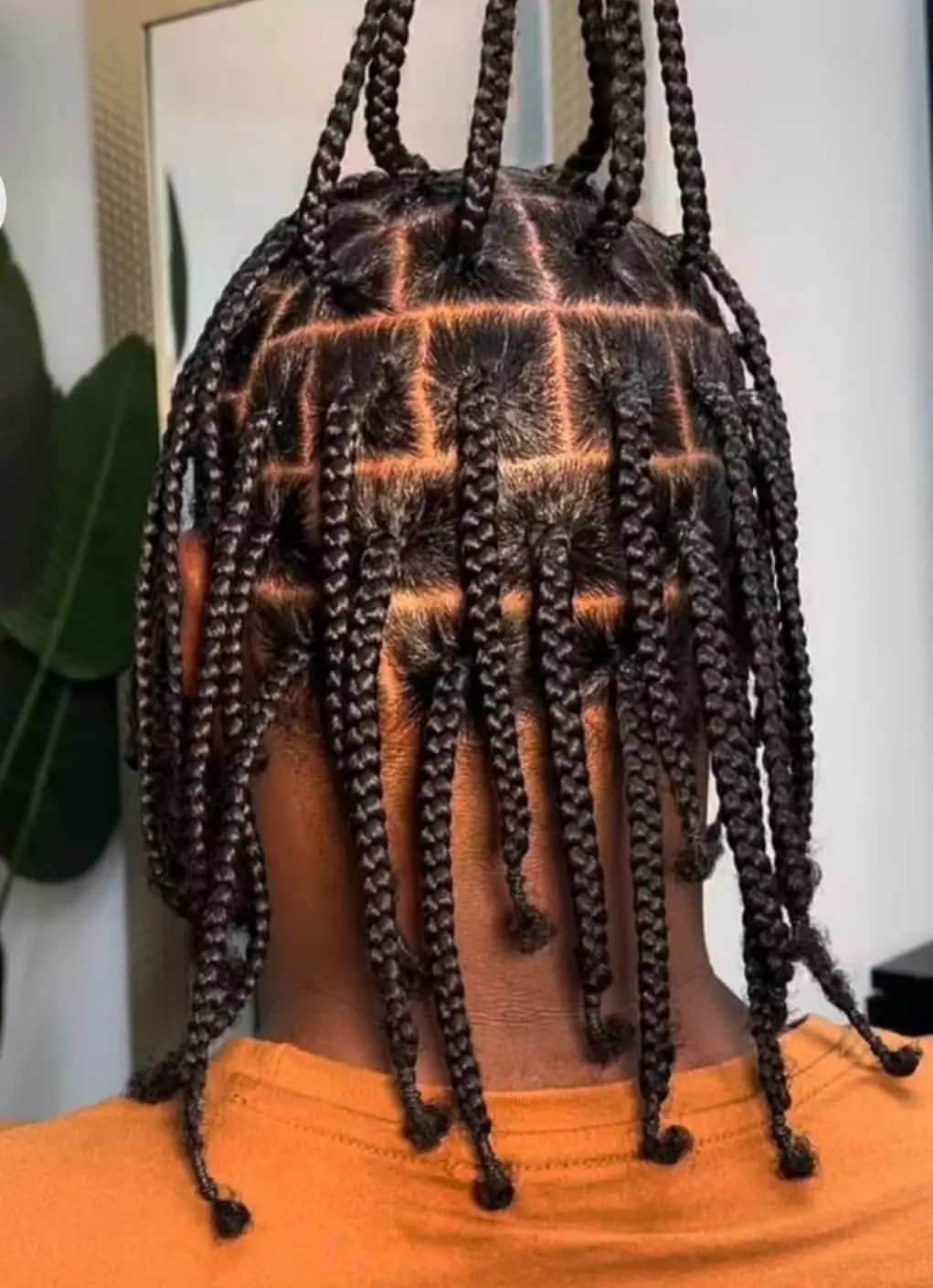 Bold Box Braids