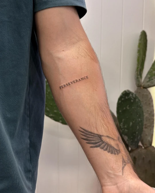 Clean Serif Lettering Above Heavier Ink