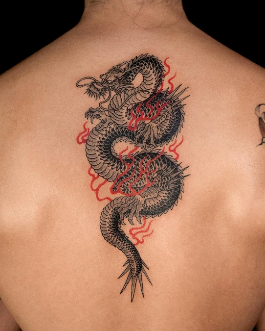 Crimson Flame Spine Coils