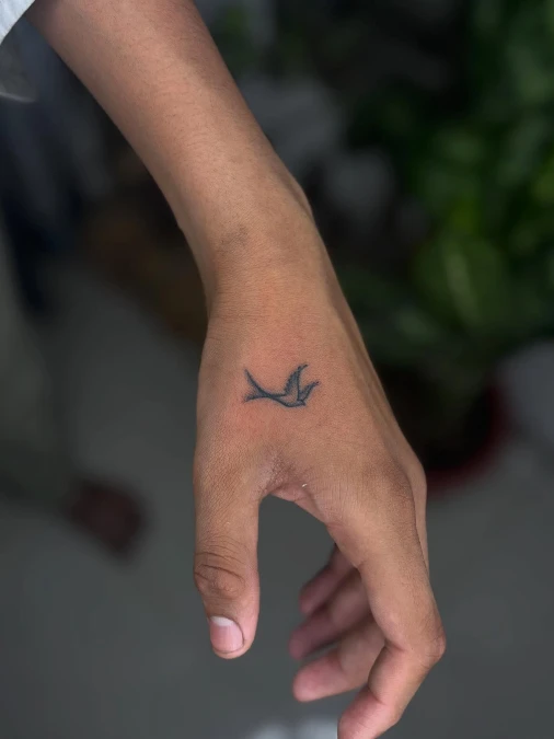 Crisp Bird Hand Placement