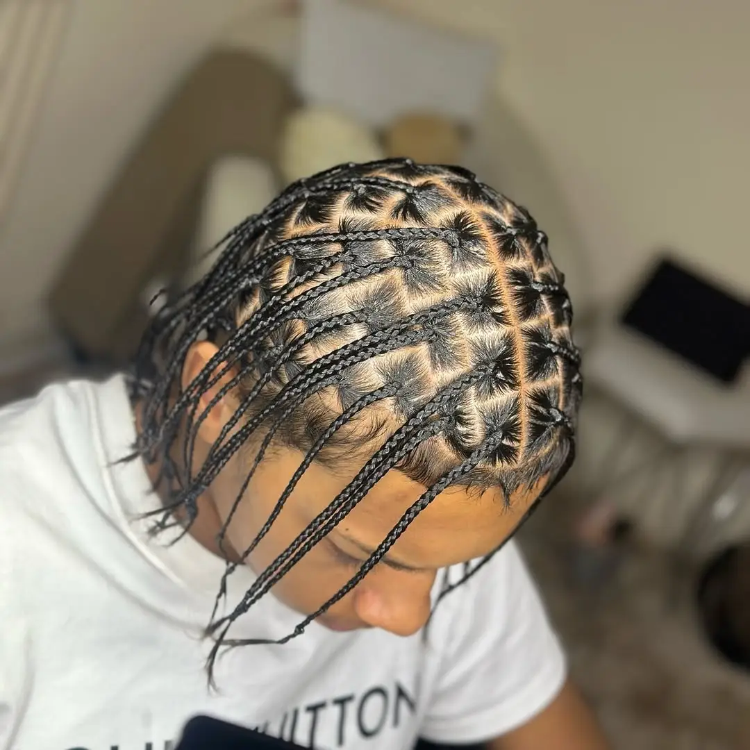 Defined Grid Box Braids