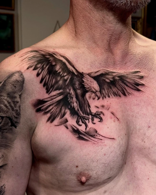 Dynamic Eagle In Flight With Deep Shading