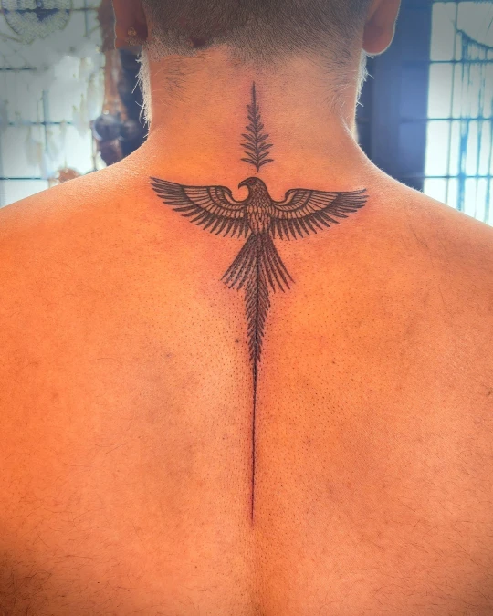 Eagle Motif With Long Tail Line