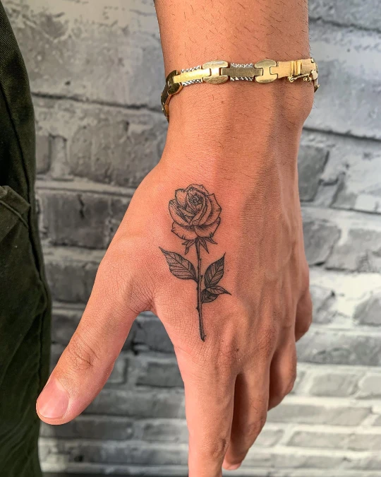Fine Line Botanical Rose