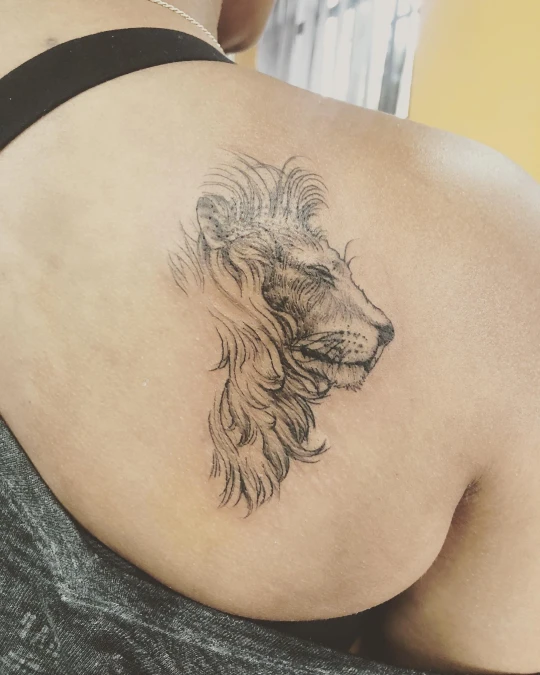 Fine Line Sketch Lion Profile