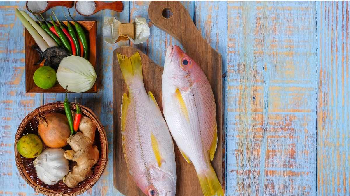 Fish and Natural Treats