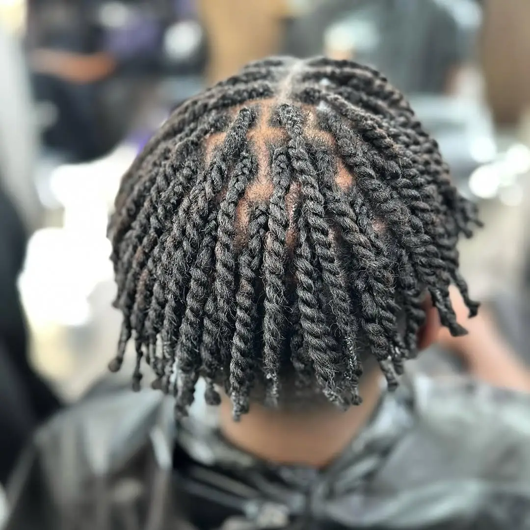 Full Head Two-Strand Twists