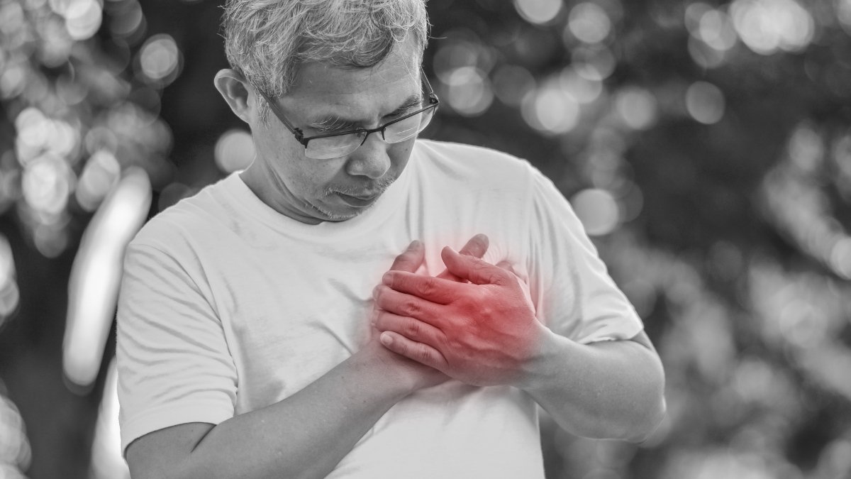 How Regular Check-ups Can Prevent 80% of Heart Attacks
