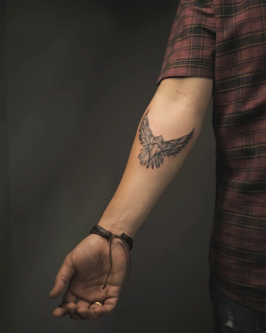 Minimalist Bird Silhouette And Golden Eye Accents