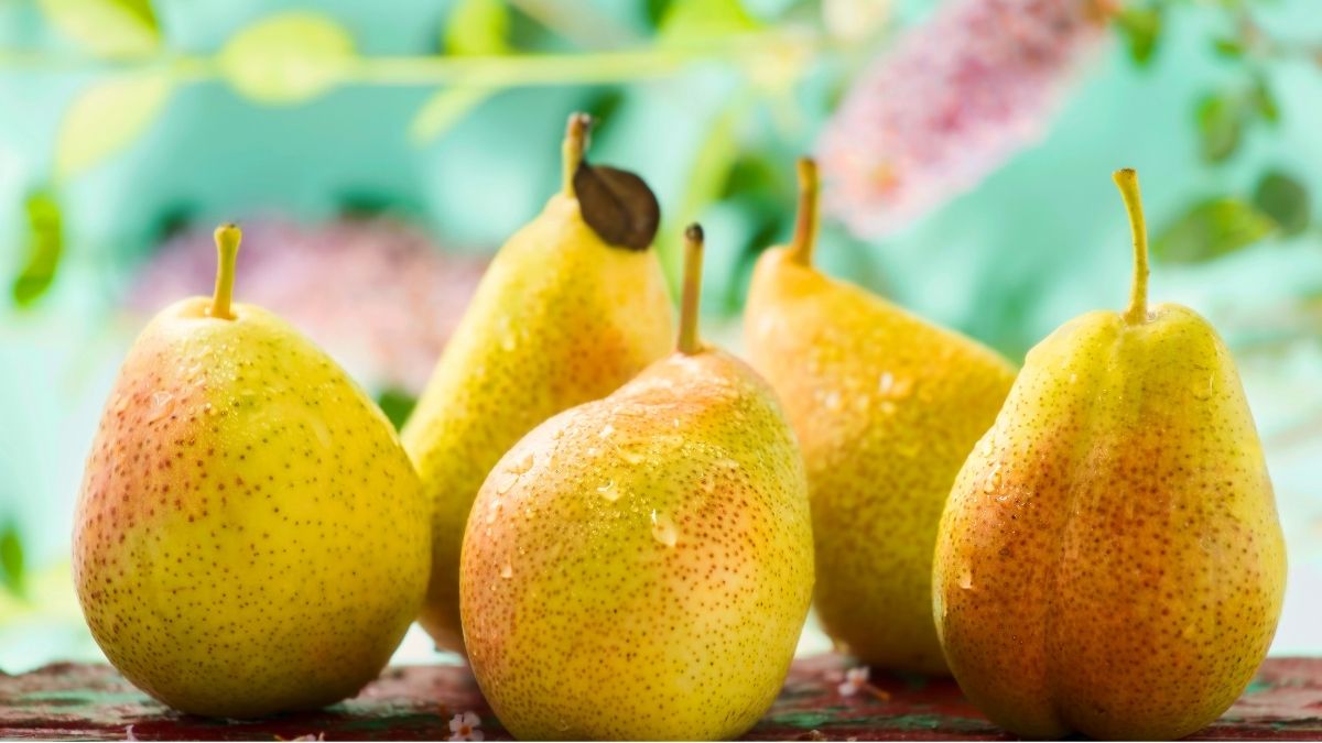 Pears with Skin (6g fiber per medium pear)