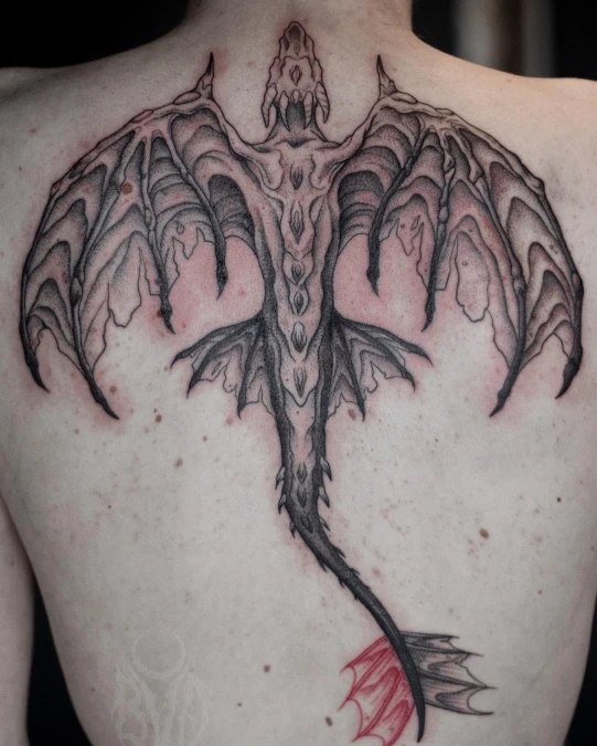 Ragged Wings And Crimson Tail Focus