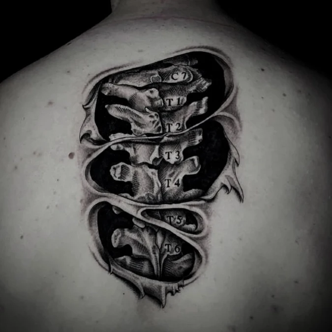 Realistic Torn Skin And Labeled Medical Bones