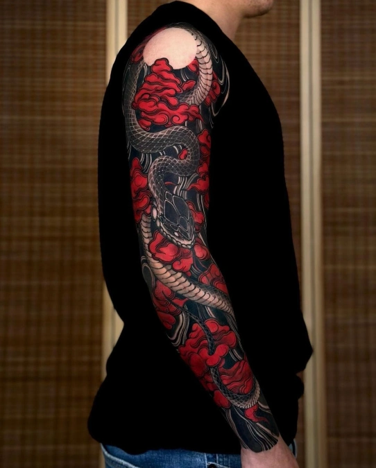 Slithering Snake And Crimson Cloud Sleeve