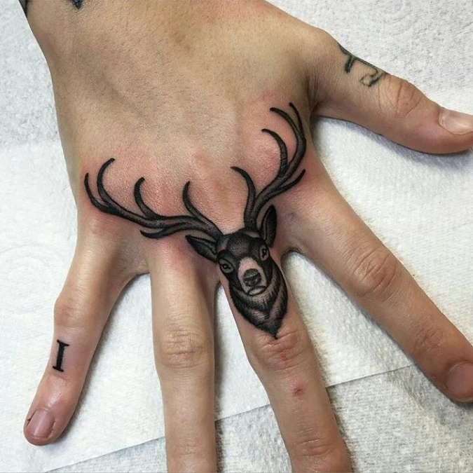 Structured Stag Portrait With Sprawling Antlers