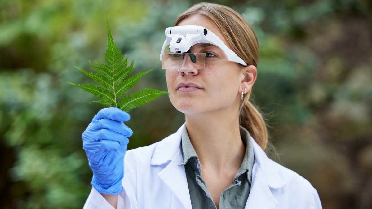The Science Behind When Organic Fails