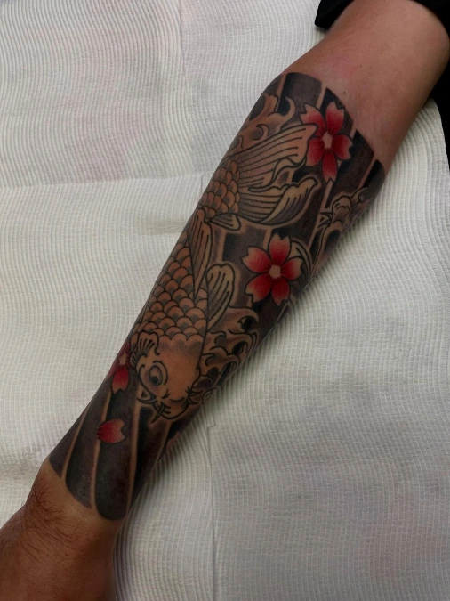 Traditional Japanese Koi And Cherry Blossoms