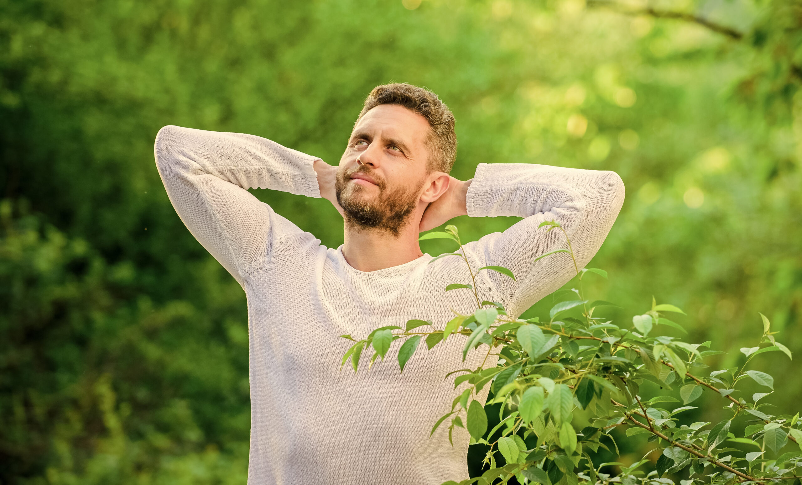 Trending Adaptogens That Actually Reduce Stress