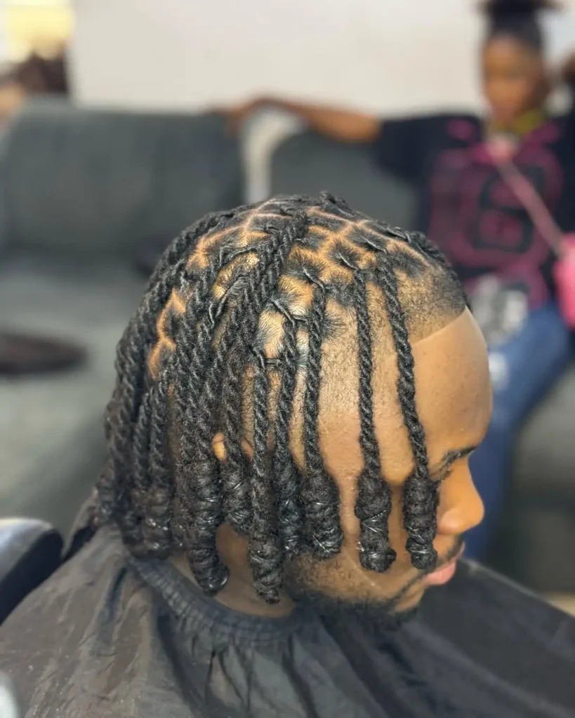 Two-Strand Twisted Locs with Temple Fade