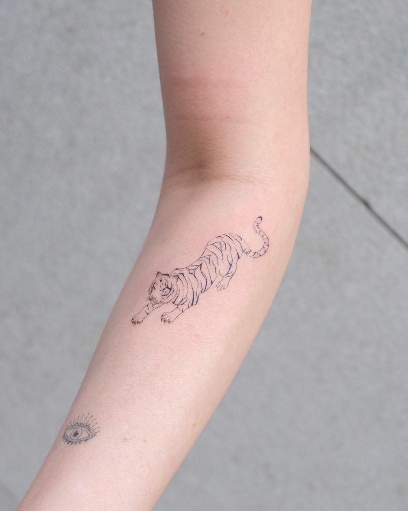 Prowling Tiger and Micro Eye Symbol